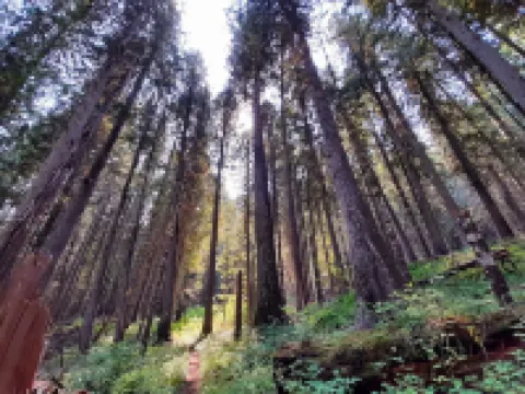 Rivers Bend Cabin<Br>Across from Clearwater <Br>River