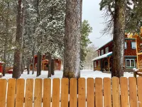 Wooden guest cottage - Homestays