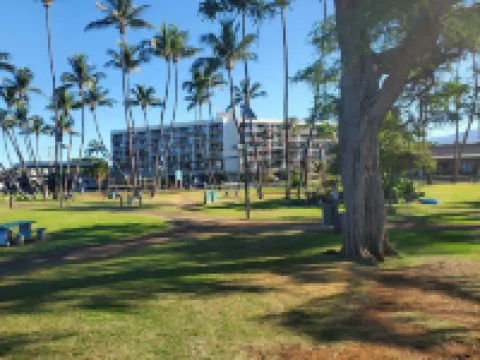 Private Cozy Studio walking distance to beaches, shops, restaurants and bars