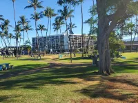 Private Cozy Studio walking distance to beaches, shops, restaurants and bars