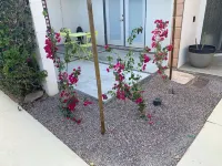 The Crest: Mid-Century Couples Retreat- Pool & Mountain Views - 2 Beds #066151