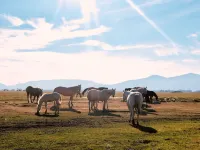 Beautiful Apartment Close To Downtown With Mountain View!