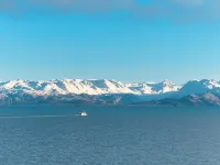 STARFISH BUNGALOW AMAZING VIEW!! KACHEMAK DRIVE Hotels in Homer