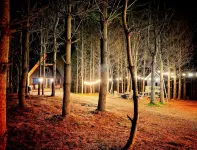 Family Fave : Secluded : Conversation Pit : Kids' Fort : Hot Tub : Trails