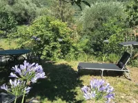 Beautiful vacation apartment with terrace and garden - La Dolce Vita -