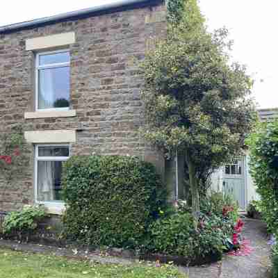 Stunning Pet friendly Cottage in beautiful Weardale Hotel Exterior