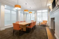 Hilton Garden Inn Daytona Beach Oceanfront - Pet friendly
