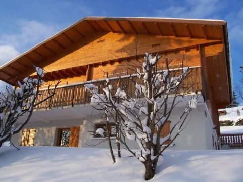 CHALET GERARDMER renting the ground floor of 90 m2 plot of 3000m2