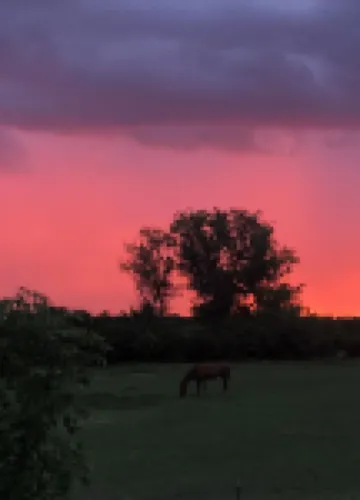 Sturgis Motorcycle Rally Vacation Rental