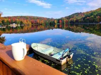 !!LAKEFRONT house with baby goats!! Hotels in Deposit