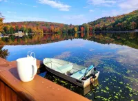 !!LAKEFRONT house with baby goats!! Hotels in Deposit