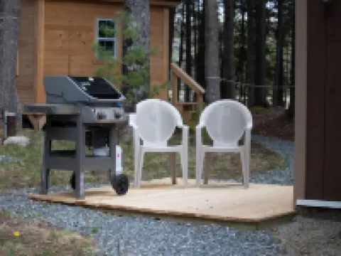 Peaceful Basement Apartment among serene woods, paths, and a stream near Acadia Hotels in Mt Desert