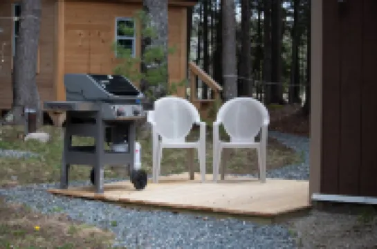 Peaceful Basement Apartment among serene woods, paths, and a stream near Acadia