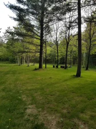 Time to relax and unwind…Cozy house in the woods minutes from downtown Minocqua