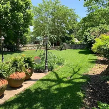 Beautiful Craftsman home near C-Street for you and your pets!