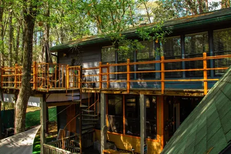 Make New Magical Memories! Enjoy Boats-Campfire-Hammocks. Fun for All Ages!