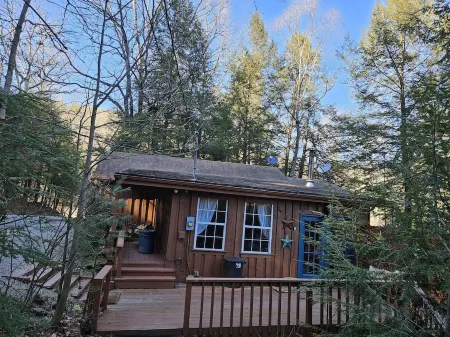 2BR cabin with private hollow, creek, and historic dam, minutes to trails/food