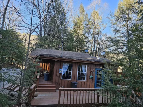 2BR cabin with private hollow, creek, and historic dam, minutes to trails/food
