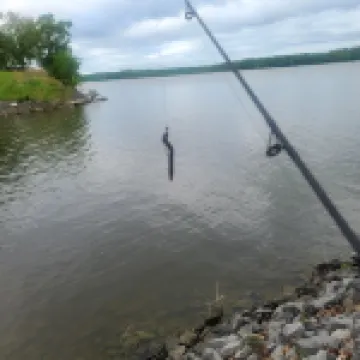 Blue Moon over Barkley 5 bedroom Lakehouse on Lake Barkley.