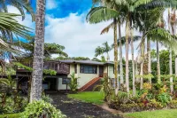 Traditional Hawai'i home near Hilo town - solar powered!