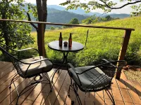 Private & Peaceful A-Frame Cabin - Gas Gift Card Promo - See Description Hotels in Yancey County