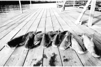 Completely renovated lakehouse with all the extras Hotels in Benton County