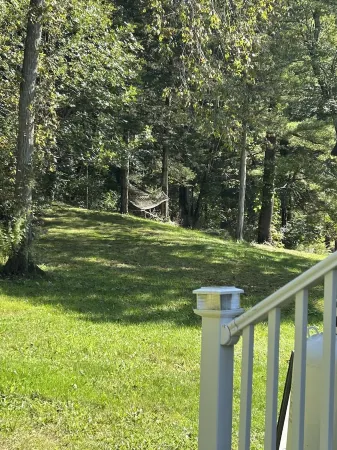 Be our guest at The Nest!