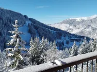 Fabulous 2 Bedroom Ski In / Out Apartment with West facing balcony Hotels near Altiport
