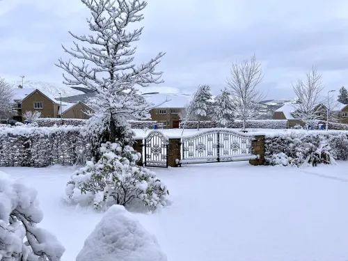 'The Willows' A Charming home on Dollarbeg Castle Estate Hotels in Dollar