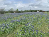 Country Farmhouse close to Texas A&M, wedding venues, & wineries! Hotels in Grimes County