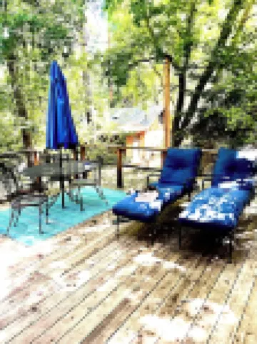 Rustic Beauty in the Canyon