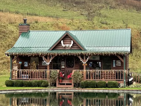 Fantastic "Black Bear Cabin" In Lynn Valley