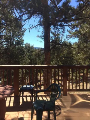 Serene Solitude mountain cabin in Allenspark