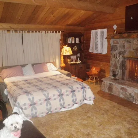 Comfy, charming cabin on the Salmon River a few miles from Gold Bug Hot Springs