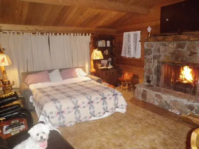 Comfy, charming cabin on the Salmon River a few miles from Gold Bug Hot Springs