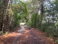 Historic 1Br Attached End-Unit LargeFenced Yard