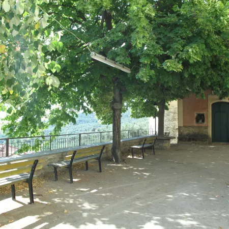 Agnese (Dol235)