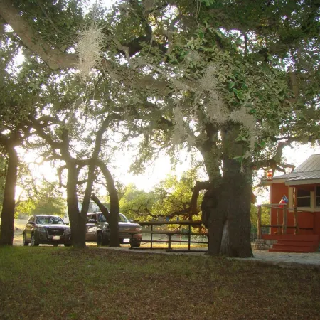 Secluded, shady river front Get-away cabin