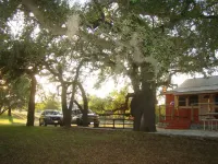 Secluded, shady river front Get-away cabin