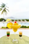 尼維斯山酒店 - 酒吧