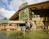 Appartements im Freizeitpark Weissenhäuser Strand Hotels in Weissenhäuser Strand