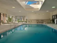 DoubleTree by Hilton Lisle Naperville - Pools