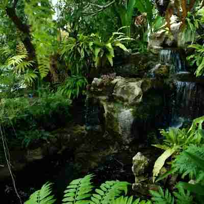 The Secret Garden Maesot Others