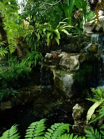 รูปภาพของเดอะ ซีเคร็ต การ์เดน แม่สอด