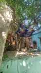 Anand Hostel