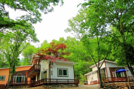 여주 펜션 후기 이미지