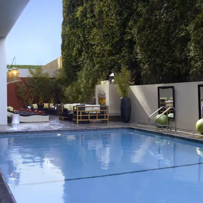 Kimpton HOTEL PALOMAR BEVERLY HILLS by IHG Hotels near West Los Angeles