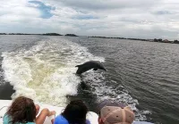 Charming Coastal Oasis 2Bed/2 Bath Cottage Close to Beach and Downtown-Southgate