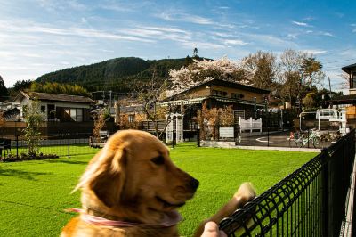 庭 和モダンな温泉旅館 湯布院らんぷの宿の写真