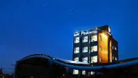 Paulownia Hostel & Guest House Hotels in 